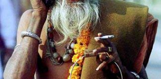 No Soy un Yogui vida de un yogui