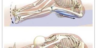 PNF o FNP , como incrementar tu flexibilidad mejorar tus elasticidad