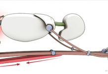 Truco para las asanas de flexión frontal
