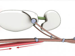 Truco para las asanas de flexión frontal