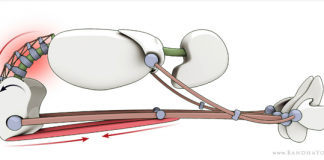 Truco para las asanas de flexión frontal