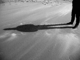 Malos hábitos cambiar mi vida