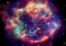 Principios básicos en la ¨filosofía¨del Yoga