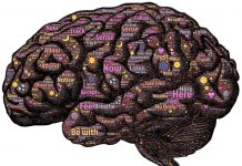 Estudiando la mente: los Samskaras