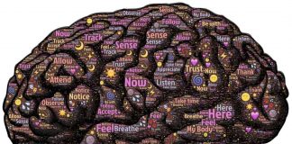 Estudiando la mente: los Samskaras