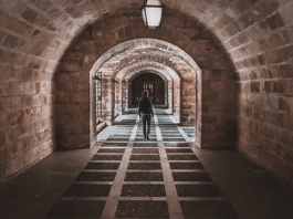 Cuando Quieres Cambiar de Vida cuando quieres cambiar de vida